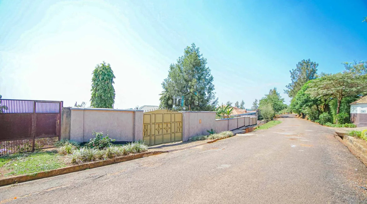 house-5-of-9-1170×650-1