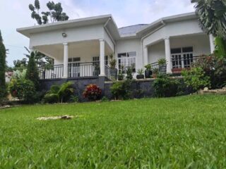 45733766-5551-489C-A1E9-B88B994FB7A6