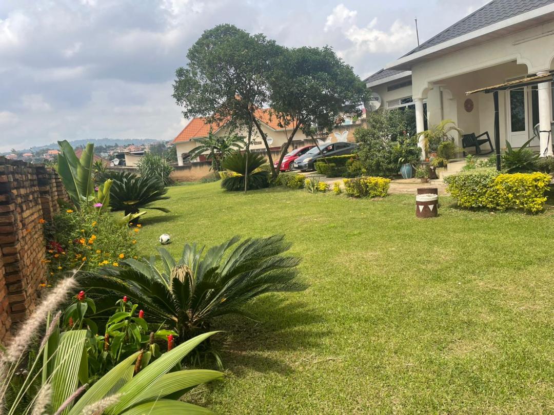 57A068A3-8435-4E90-969A-A98E311CEC91