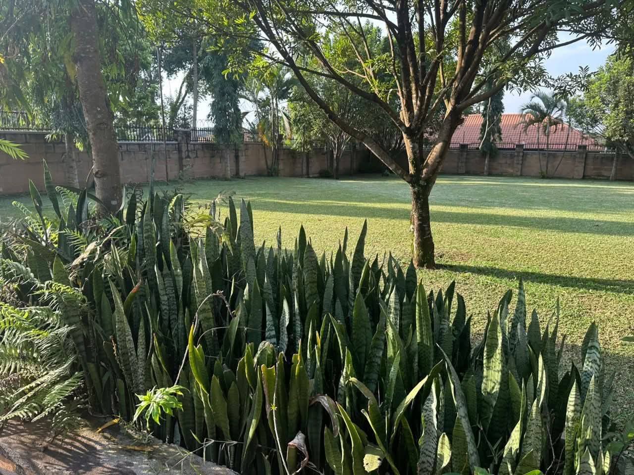 BE54DABA-A35D-4861-8375-878C47F56B31