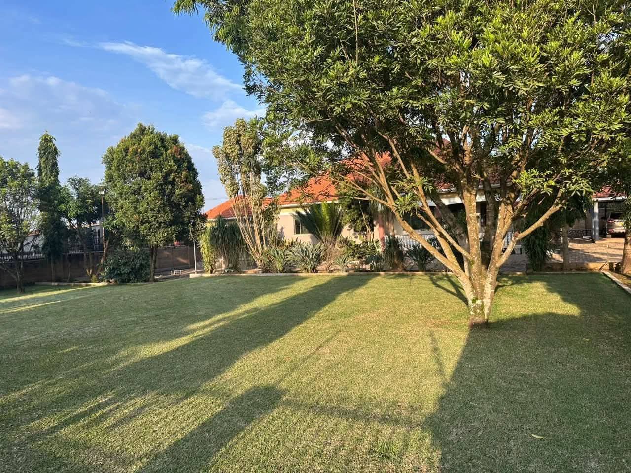 D0F561DD-08A8-436A-B8DF-9513C9C68944