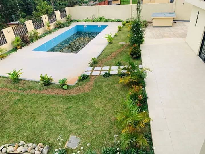 EF20C80B-5BF4-4E34-967C-65E9A2587431