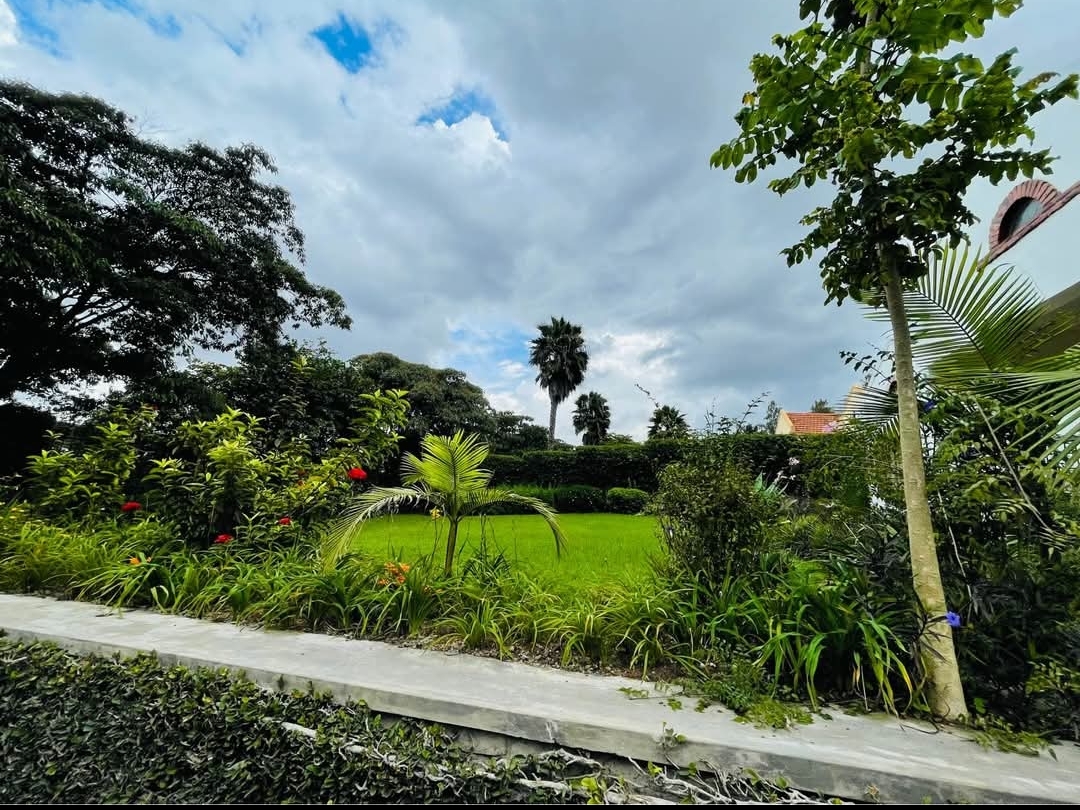 F857C40B-7DA5-4101-96EF-CAD973501F2E