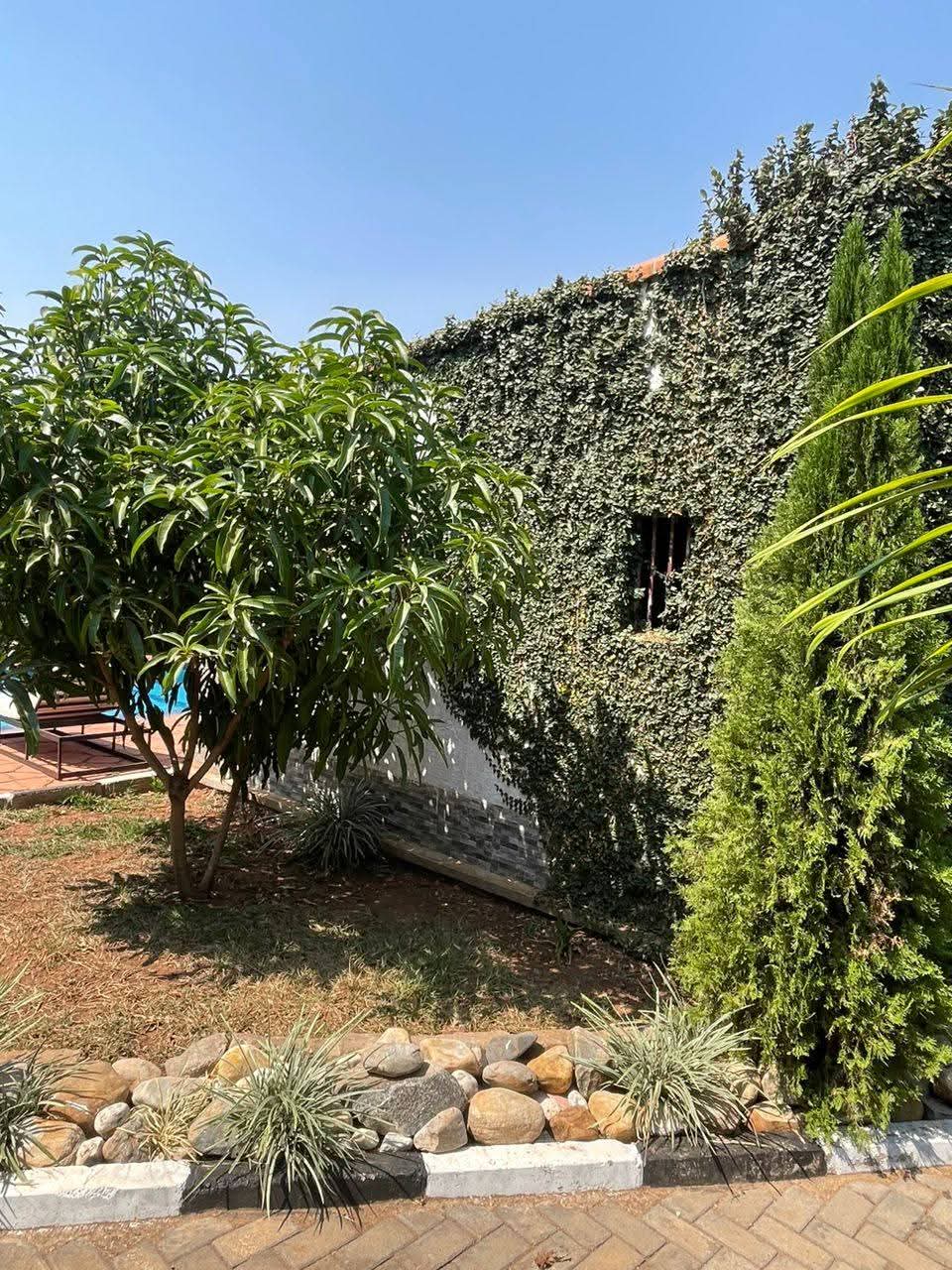 WhatsApp-Image-2026-03-27-at-11.40.23-AM