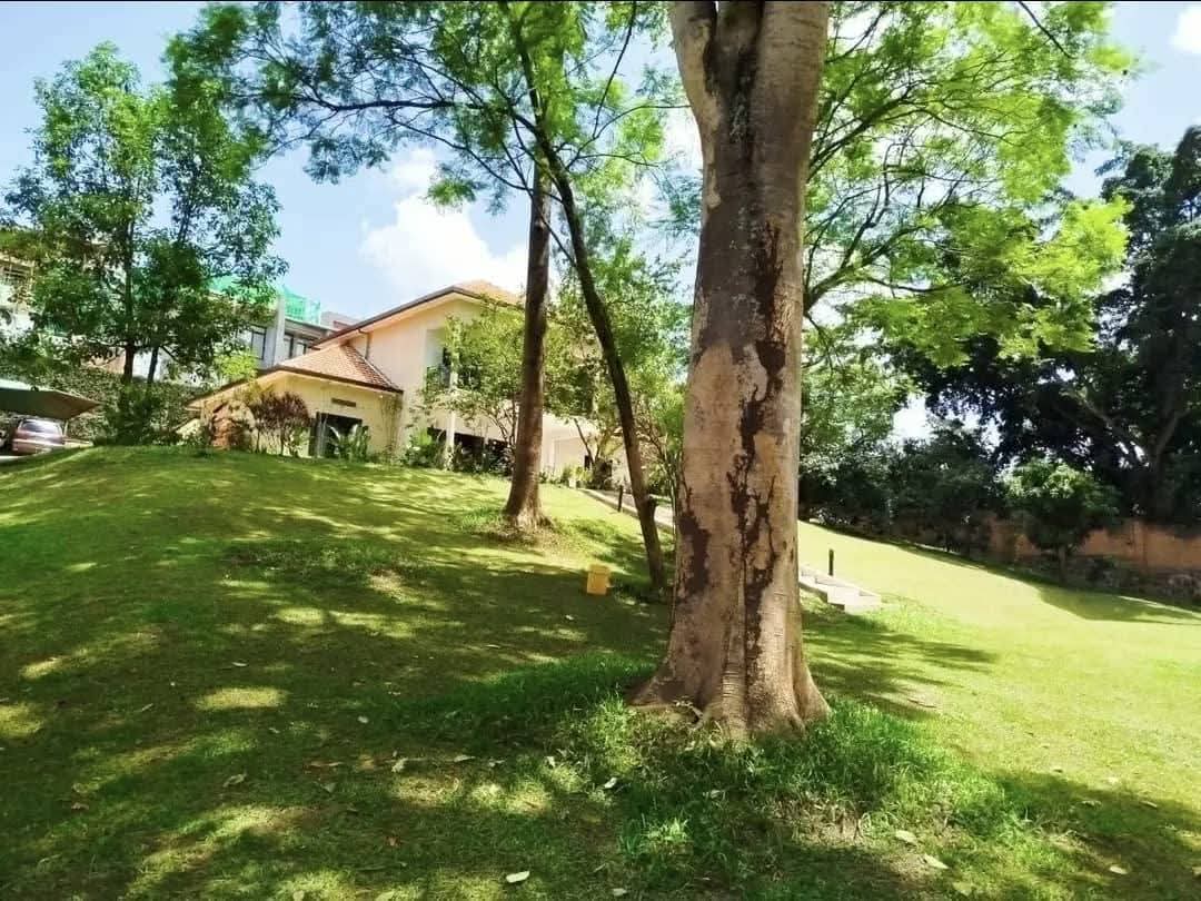 WhatsApp-Image-2026-03-27-at-11.40.42-AM-2