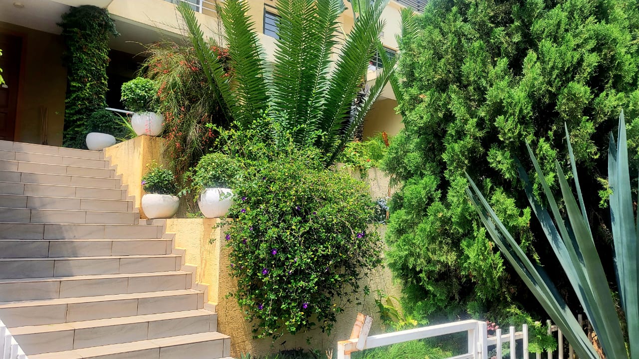 WhatsApp-Image-2026-03-27-at-11.50.22-AM