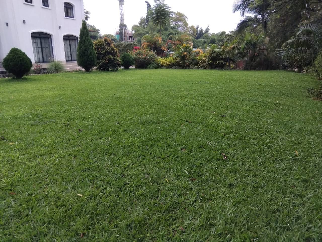 WhatsApp-Image-2026-04-13-at-12.56.02-PM