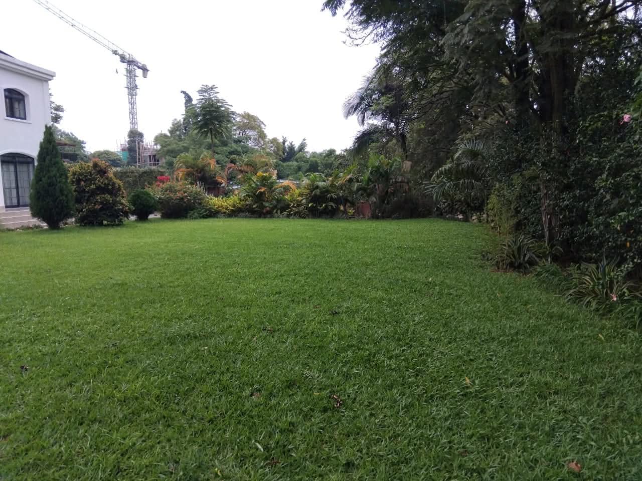 WhatsApp-Image-2026-04-13-at-12.56.03-PM-2