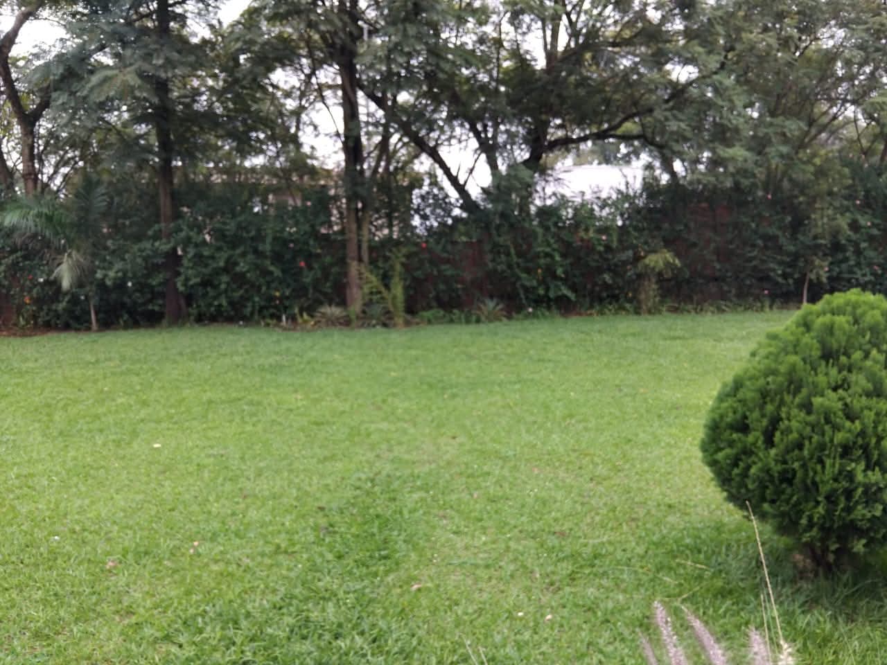 WhatsApp-Image-2026-04-13-at-12.56.06-PM-2