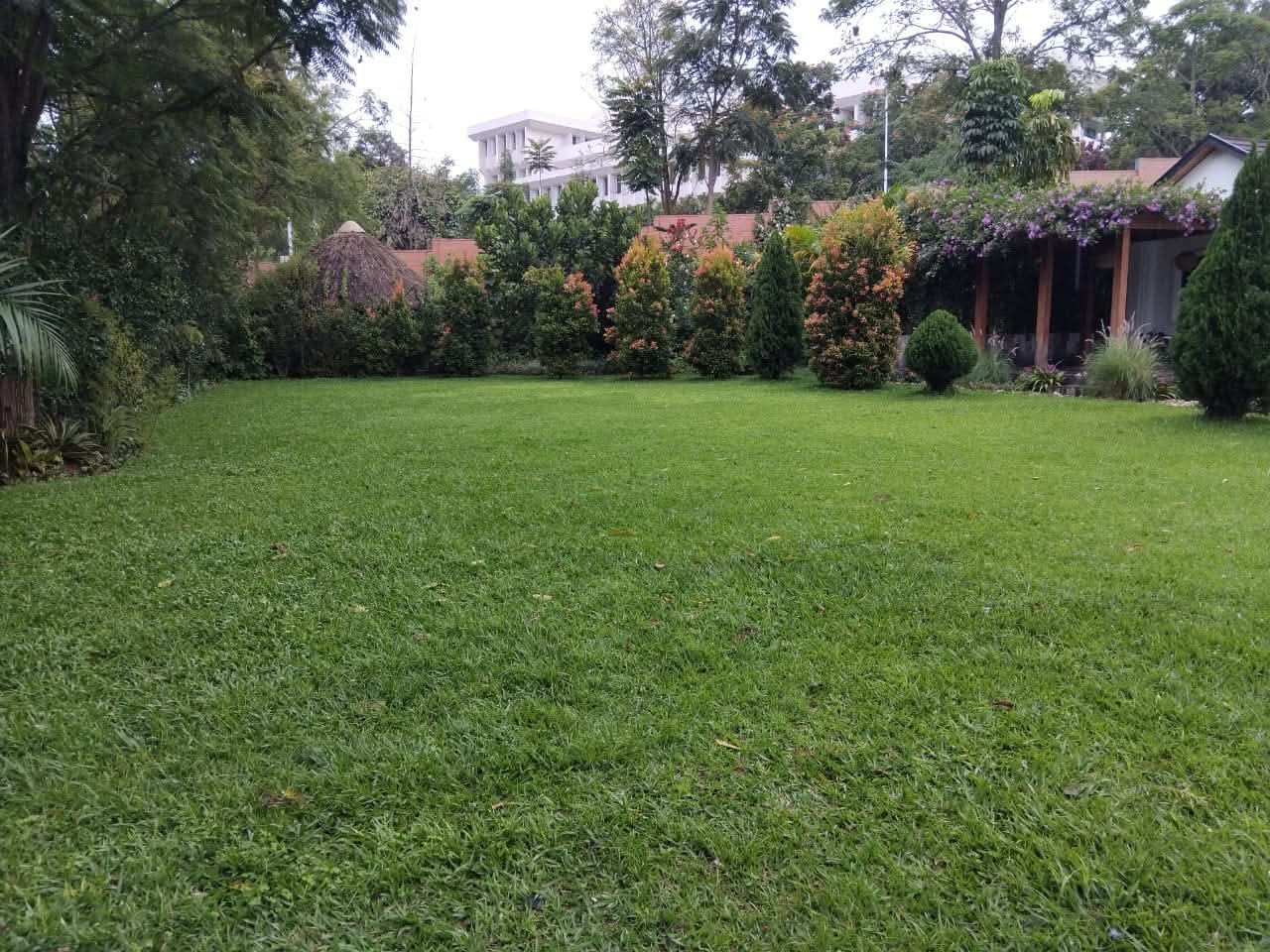 WhatsApp-Image-2026-04-13-at-12.56.08-PM