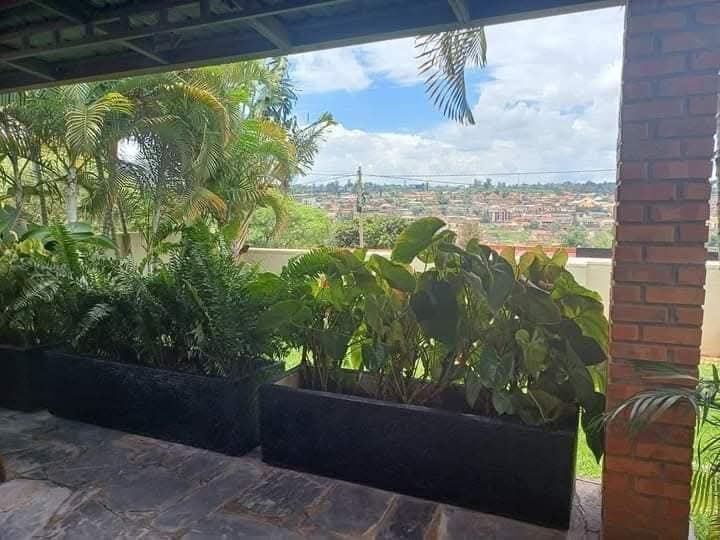 WhatsApp-Image-2026-04-14-at-9.17.04-PM