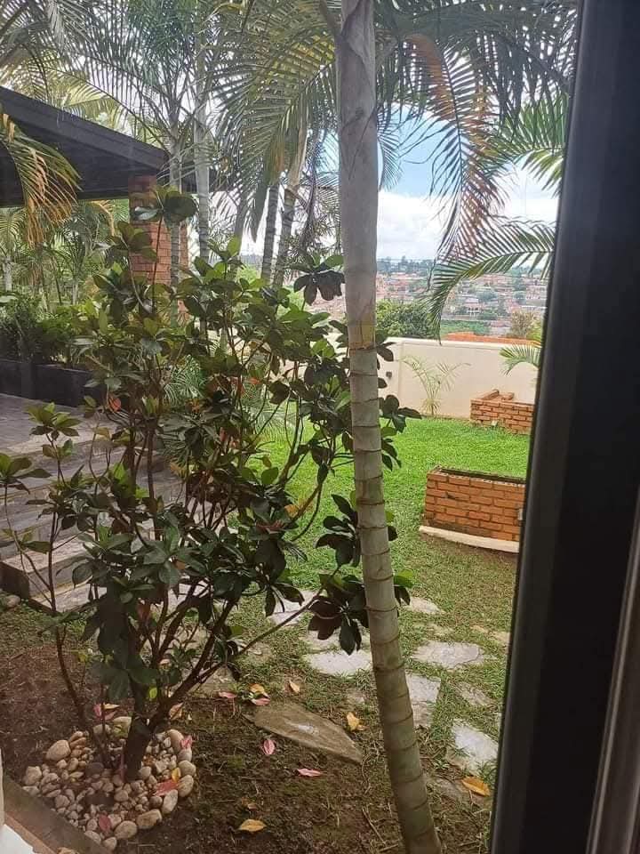 WhatsApp-Image-2026-04-14-at-9.17.06-PM