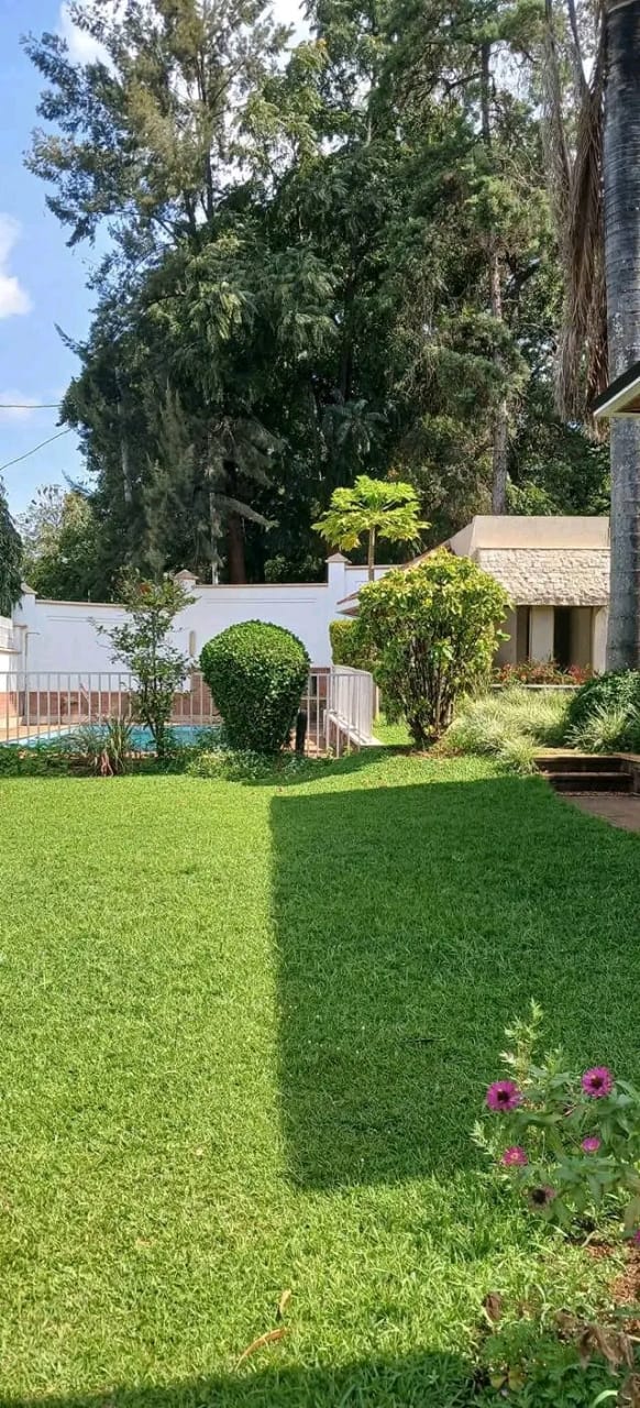 WhatsApp-Image-2026-04-14-at-9.17.23-PM