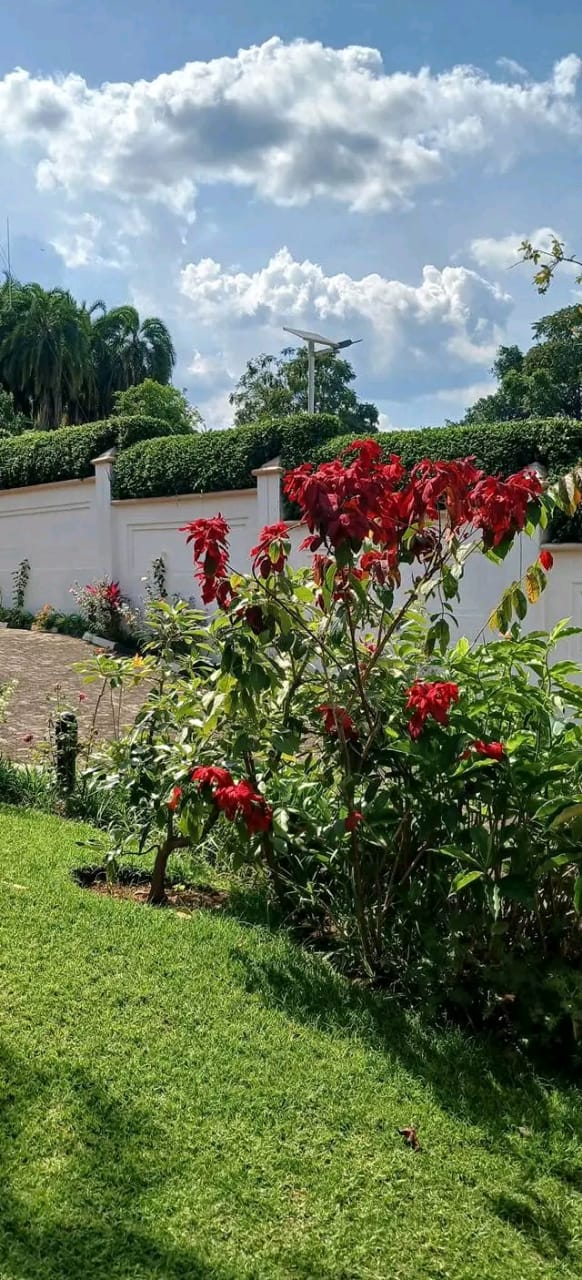 WhatsApp-Image-2026-04-14-at-9.17.24-PM