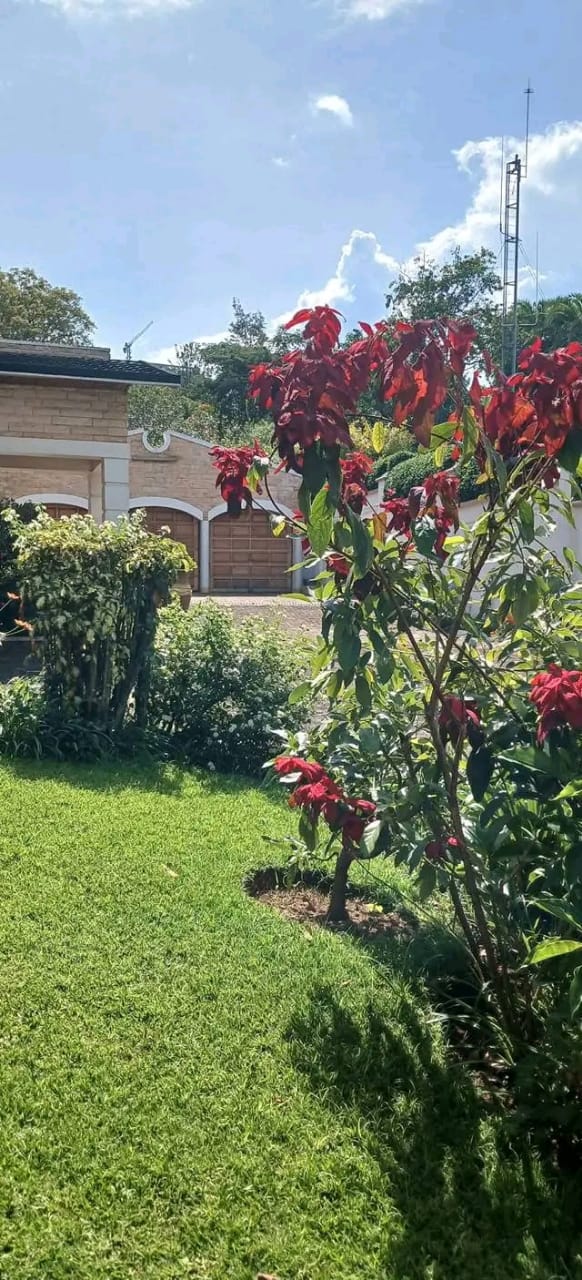 WhatsApp-Image-2026-04-14-at-9.17.27-PM